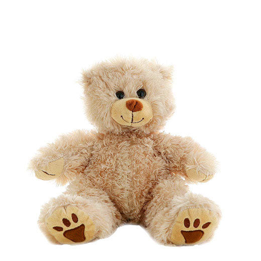 Furry Brown Bear