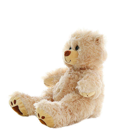 Furry Brown Bear