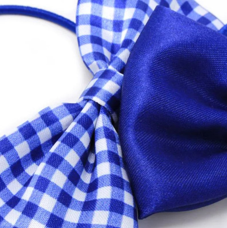 Card of 2 Bow Elastics In Royal Blue